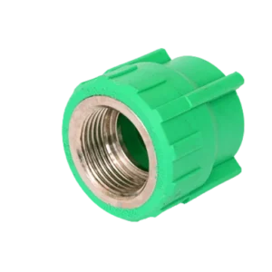 Ppr Socket